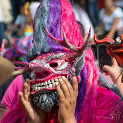 Fotografía de Lily Hernández